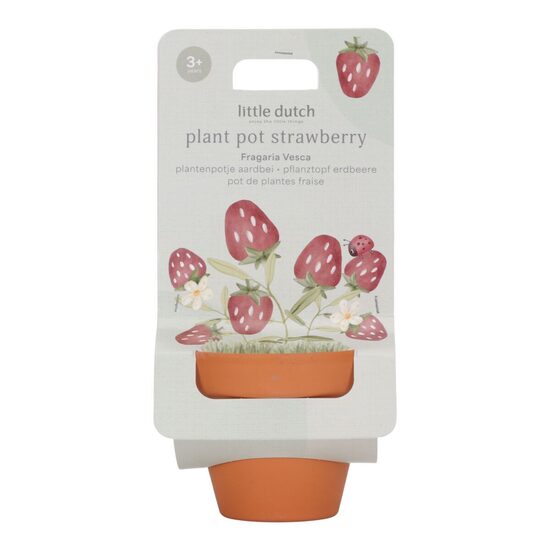 Little Dutch Plant Pot - Strawberry